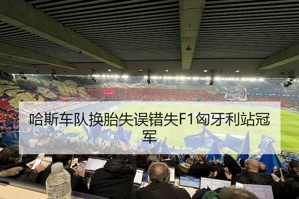 哈斯车队换胎失误错失F1匈牙利站冠军